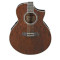 قیمت خرید فروش گیتار آکوستیک Ibanez EW20WNE NT